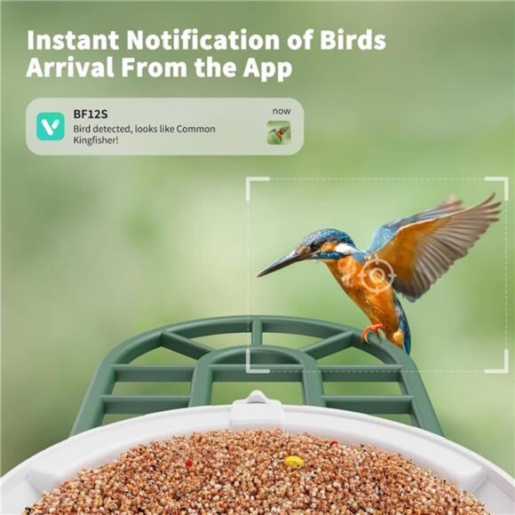 Bird Feeder with Camera with AI Identify Birds Species Solar Panel, Smart Bird - Picture 4 of 7